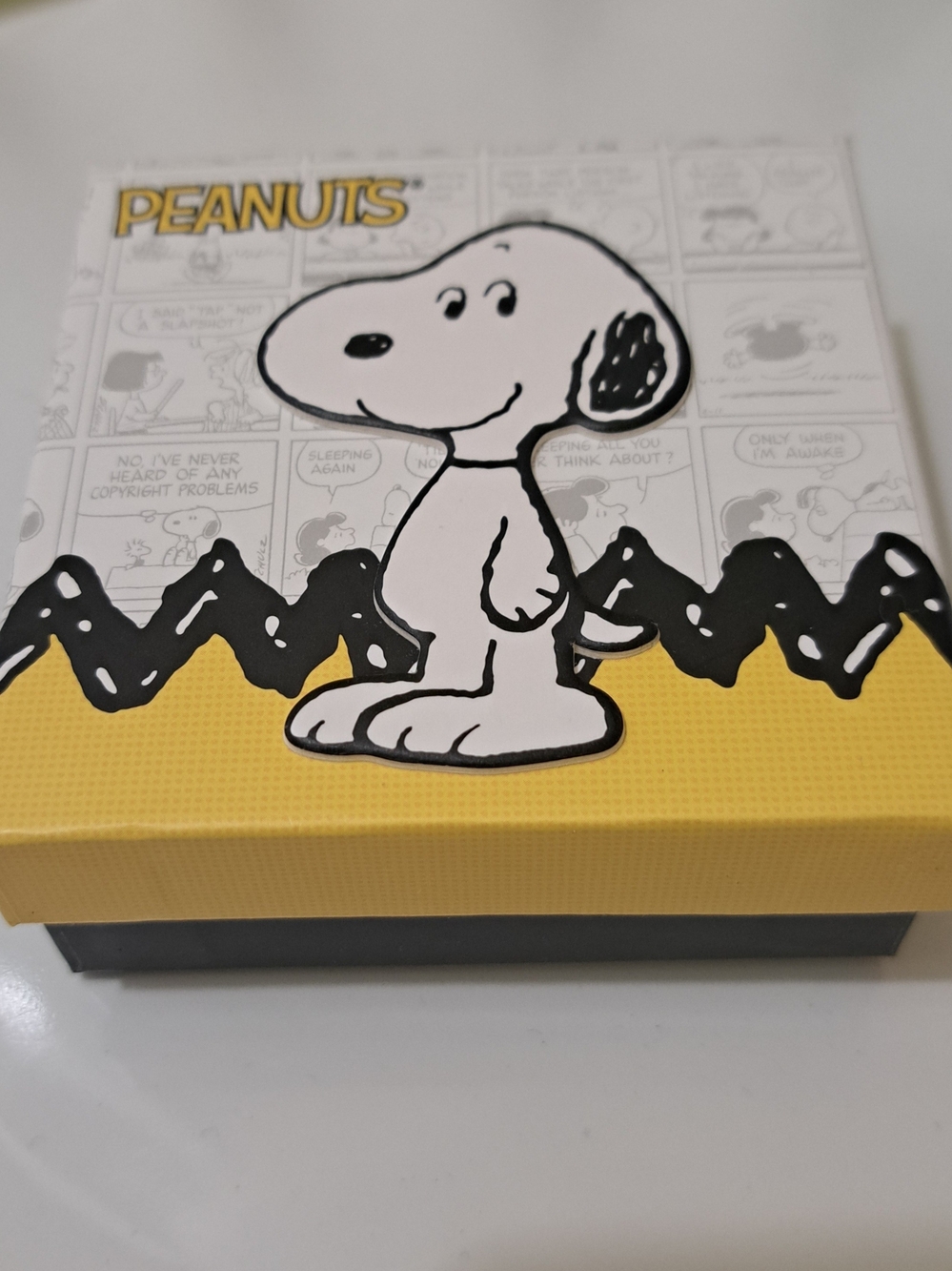 Peanuts Snoopy & Woodstock Charm Bracelet - Picture 3 of 4